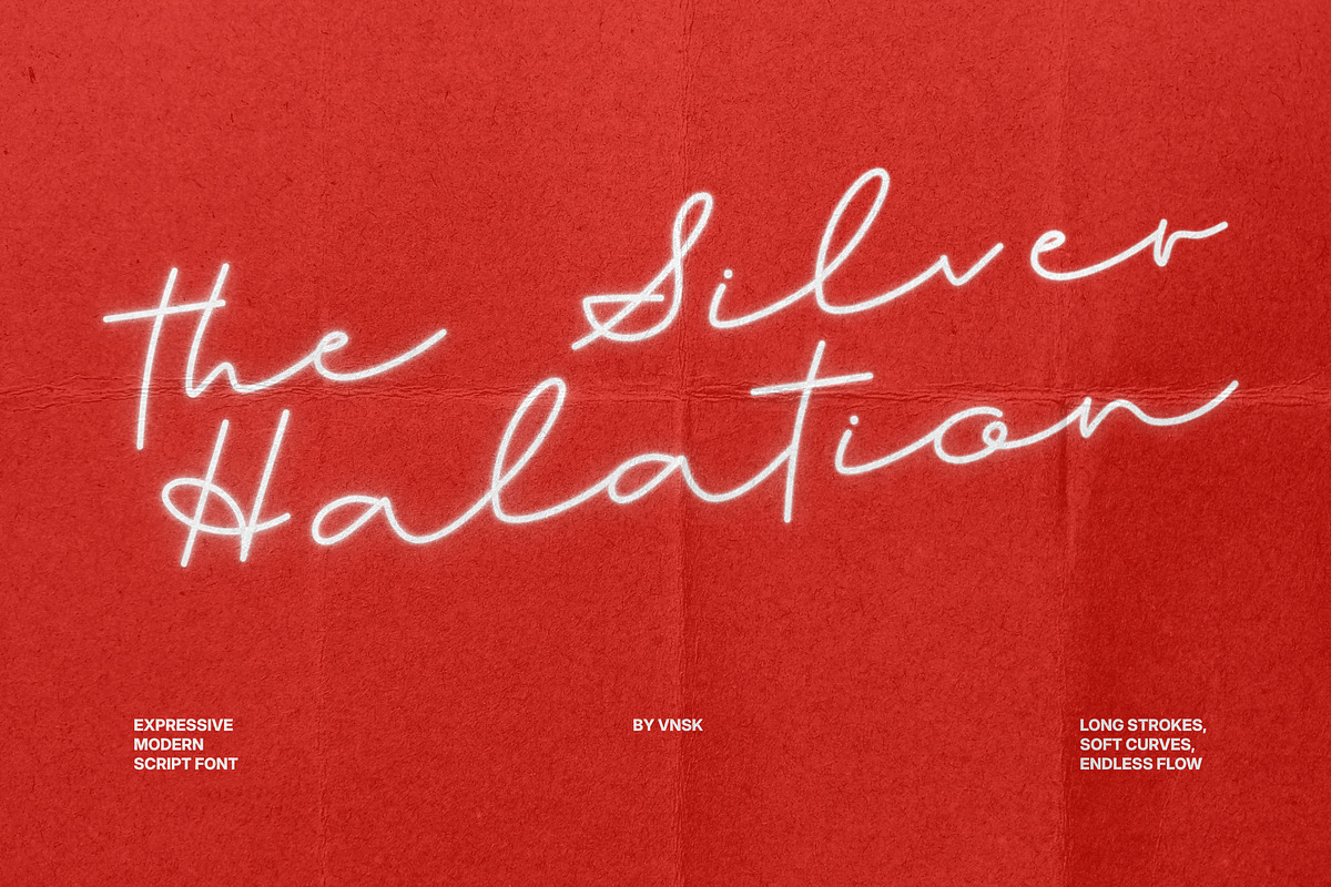 The Silver Halation Modern Script, a Script Font by Anastasiia VNSK (Photo 10 of 11)