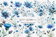 Winter Wildflowers Clipart, an Illustration by Designworld (Thumbnail 1 of 5)