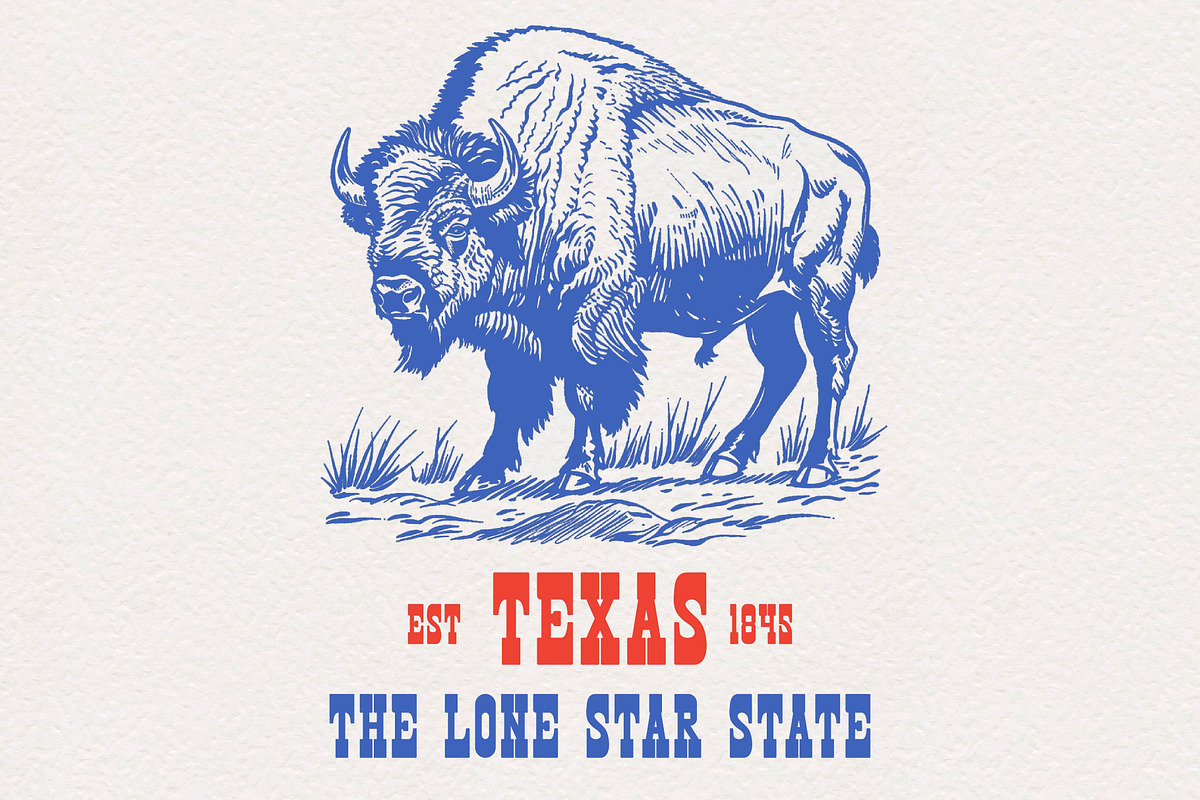 West Arrow - Western Font, a Slab Serif Font by EltaMaxArt (Photo 2 of 13)