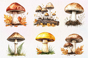 Botanical Autumn Mushrooms Clipart, an Illustration by Dream Creation (Thumbnail 2 of 7)