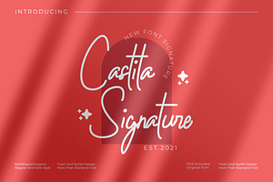 Castila Signature Monoline Font