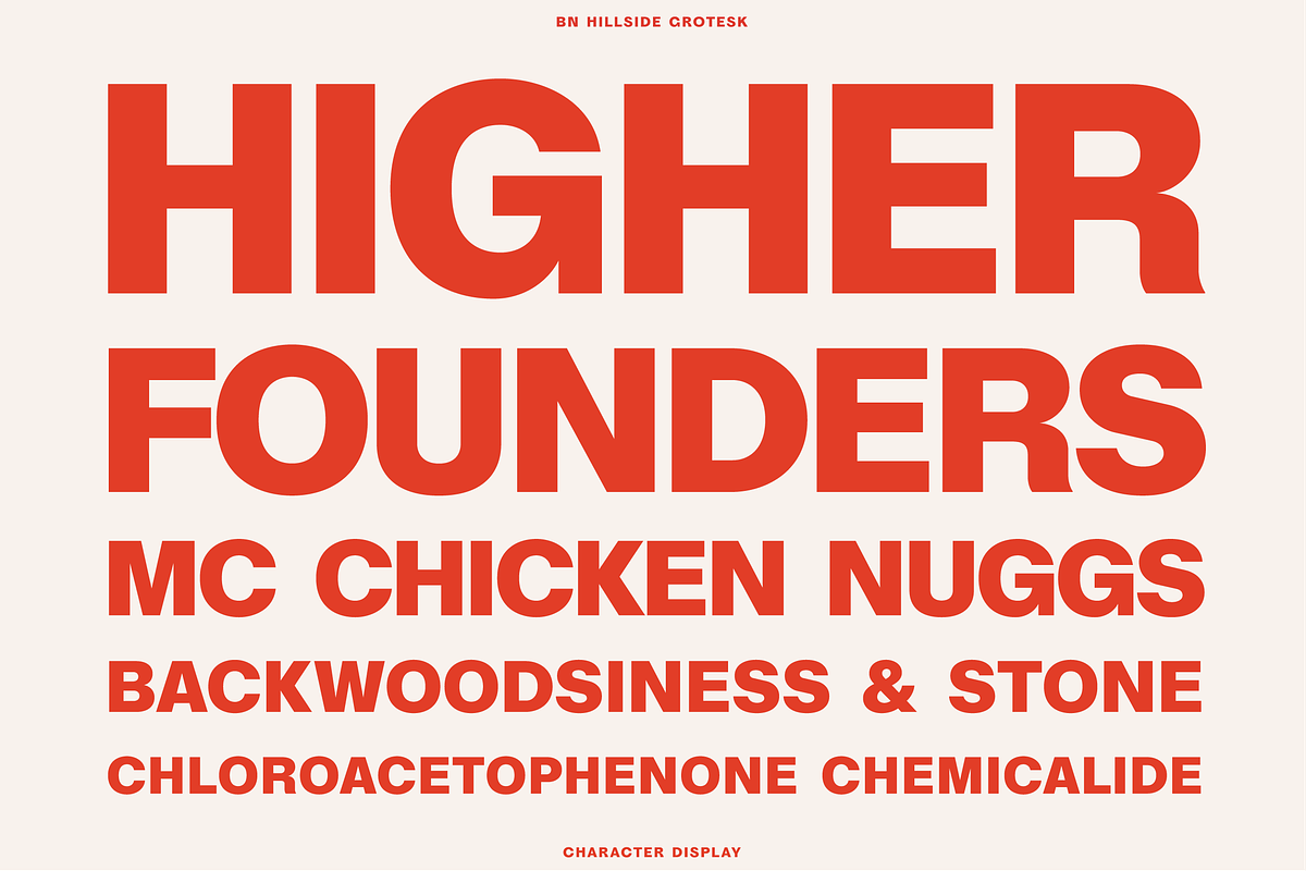 BN Hillside Grotesk, a Sans Serif Font by Bnick (Photo 9 of 14)