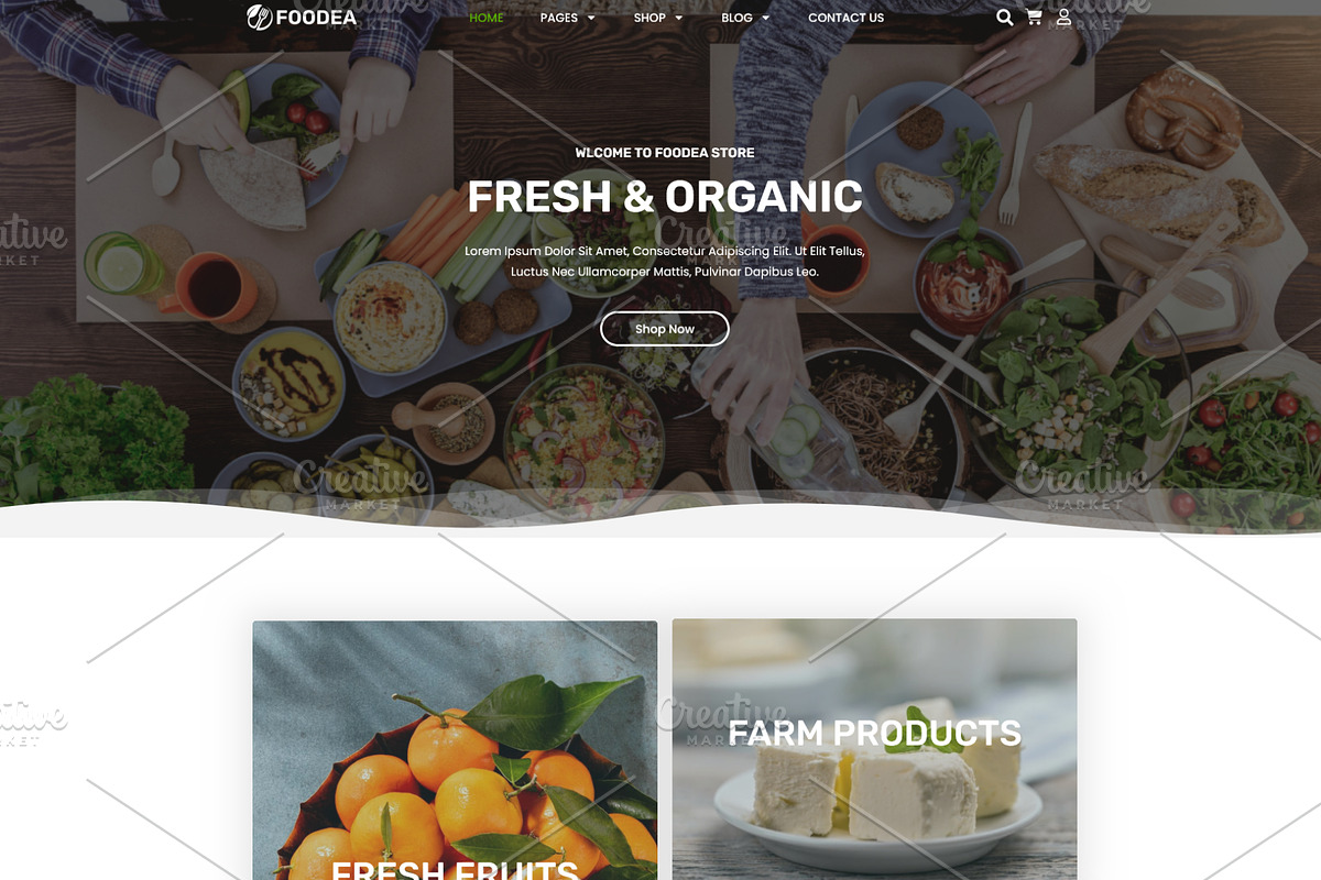 Organic Farm Food Elementor Template, a WordPress Template by HasnainDEV (Photo 2 of 7)