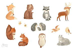 WOODLAND ANIMALS. Watercolor