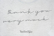 Talesian - Signature Font, a Script Font by ViactionType (Thumbnail 13 of 13)