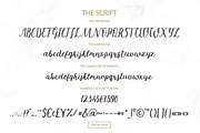 Michelle script with extras, a Script Font by Designwork (Thumbnail 10 of 14)