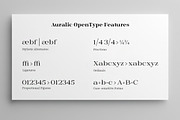 Auralic, a Serif Font by Black Studio (Thumbnail 8 of 18)