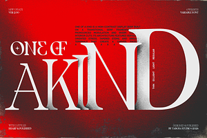 TBJ One Of A Kind Serif Font Family