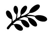 Botanical Leaf Silhouette Bundle, an Illustration by Creativeshirt (Thumbnail 21 of 51)