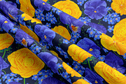 Pattern Pansies and Buttercups, a Pattern Graphic by MarynaPetrovska (Thumbnail 6 of 10)