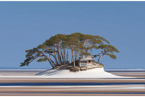 The presence of reeds and pine on a, a Nature Photo by ZinetroN