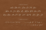 Winter Solace – Calligraphic Serif, a Serif Font by Krismagraph (Thumbnail 9 of 10)