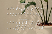 Kaldera, a Handwritten Font by GlottaTypeface (Thumbnail 6 of 8)