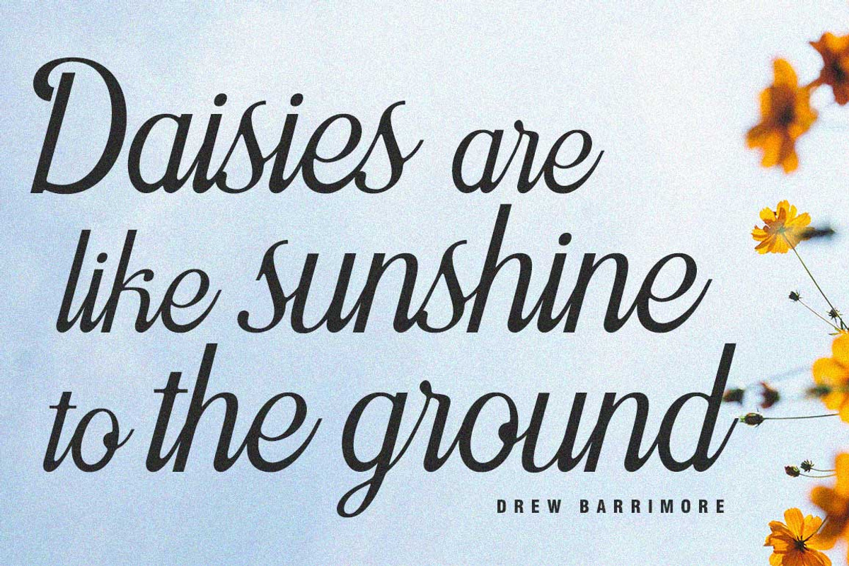 Asefine, a Script Font by Lucky Type (Photo 6 of 15)