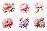 Watercolor Blush Peonies Flowers, an Illustration by CreationArt (Thumbnail 6 of 7)