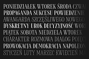 Rostef, a Serif Font by glukfonts (Thumbnail 6 of 6)