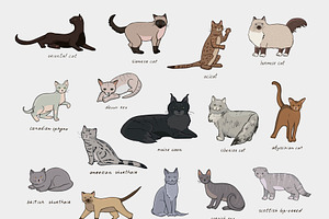 Breeds Of Cats