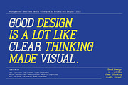 Multigenum - Serif font family, a Serif Font by Artistic & Unique (Thumbnail 13 of 15)