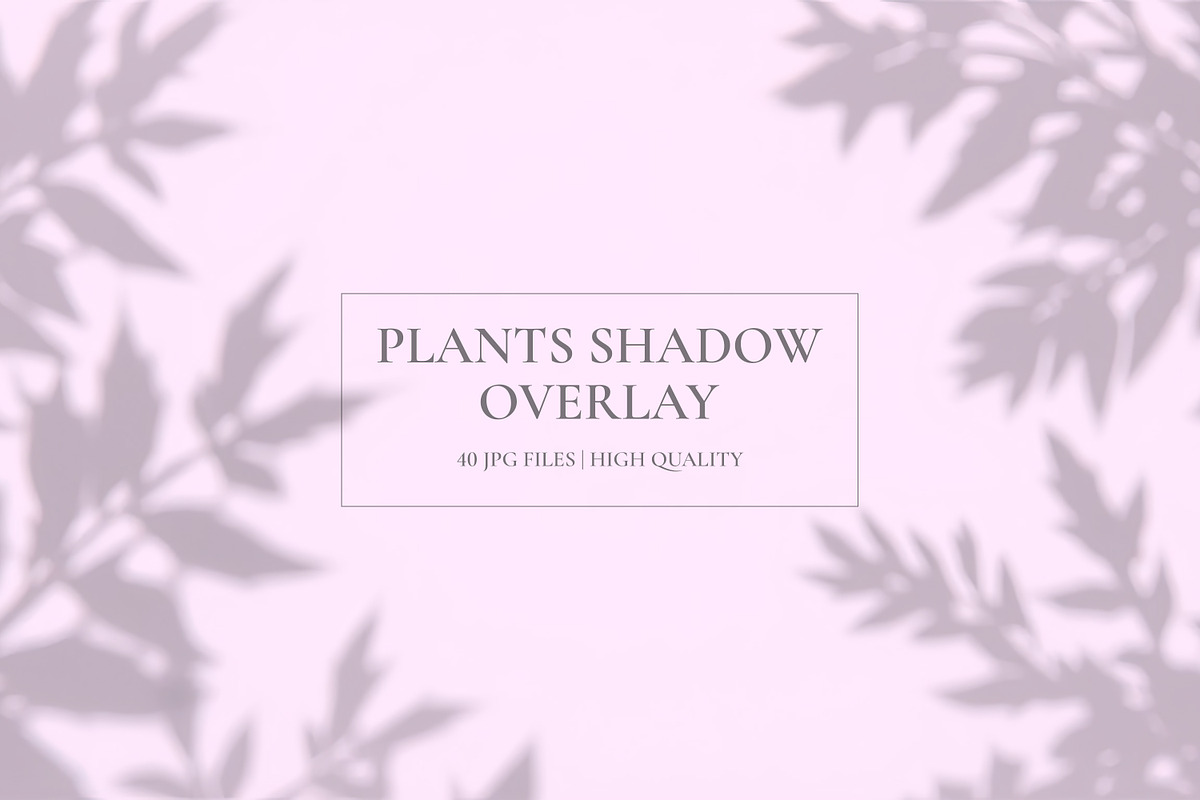 Plants Shadow Overlay, a Background Graphic by M9 Design (Photo 1 of 11)