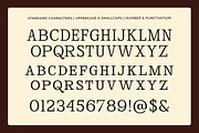 Broadest - Swash Decorative Serif, a Serif Font by Shakira Studio (Thumbnail 10 of 10)
