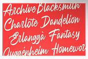 Ravvegin - Calligraphy Font, a Handwritten Font by Haps Space (Thumbnail 12 of 15)