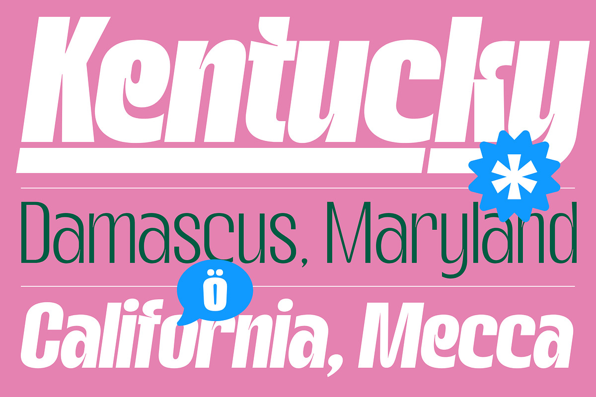 Gotkin Variable Sans Serif, a Sans Serif Font by Megatype (Photo 7 of 15)