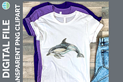 Dolphin Illustration Bundle, 22 PNG, an Animal Illustration by Enliven Designs (Thumbnail 6 of 8)