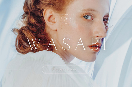 5 Wasabi Mobile Video Filters, a Brushes & More by TheWayfarerShoppe