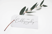 Maxleon, a Script Font by danti (Thumbnail 5 of 7)