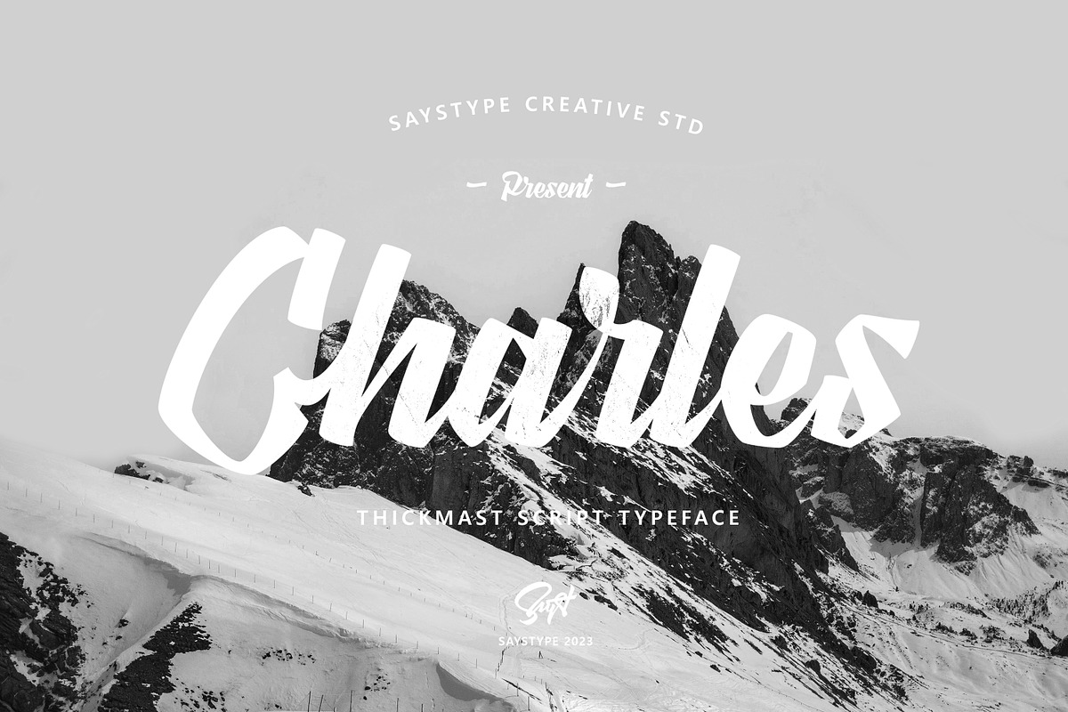 Thickmast Script Font, a Script Font by Saystype (Photo 2 of 6)