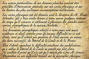 Antiquarian Scribe, a Script Font by Three Islands Press (Thumbnail 3 of 5)