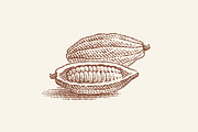 Cacao, vanilla, cinnamon, a Graphic by Irina Trusova (Thumbnail 2 of 4)