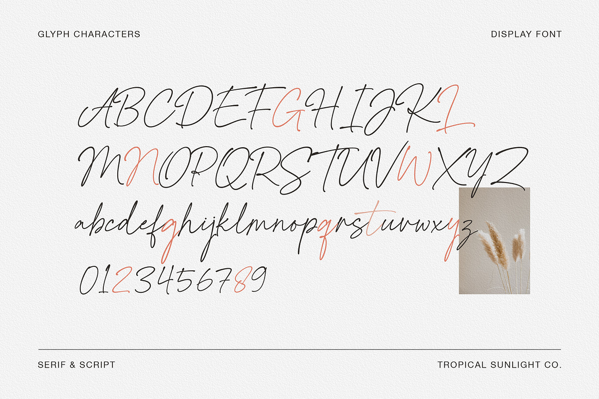 Instyles Collective - Modern Font, a Serif Font by TropicalSunlightCo. (Photo 12 of 13)