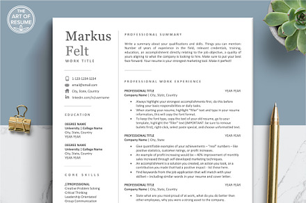 Executive Resume CV Templates