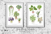 House Plants Collection Set II, a Graphic by SmallHouseBigPony (Thumbnail 17 of 21)