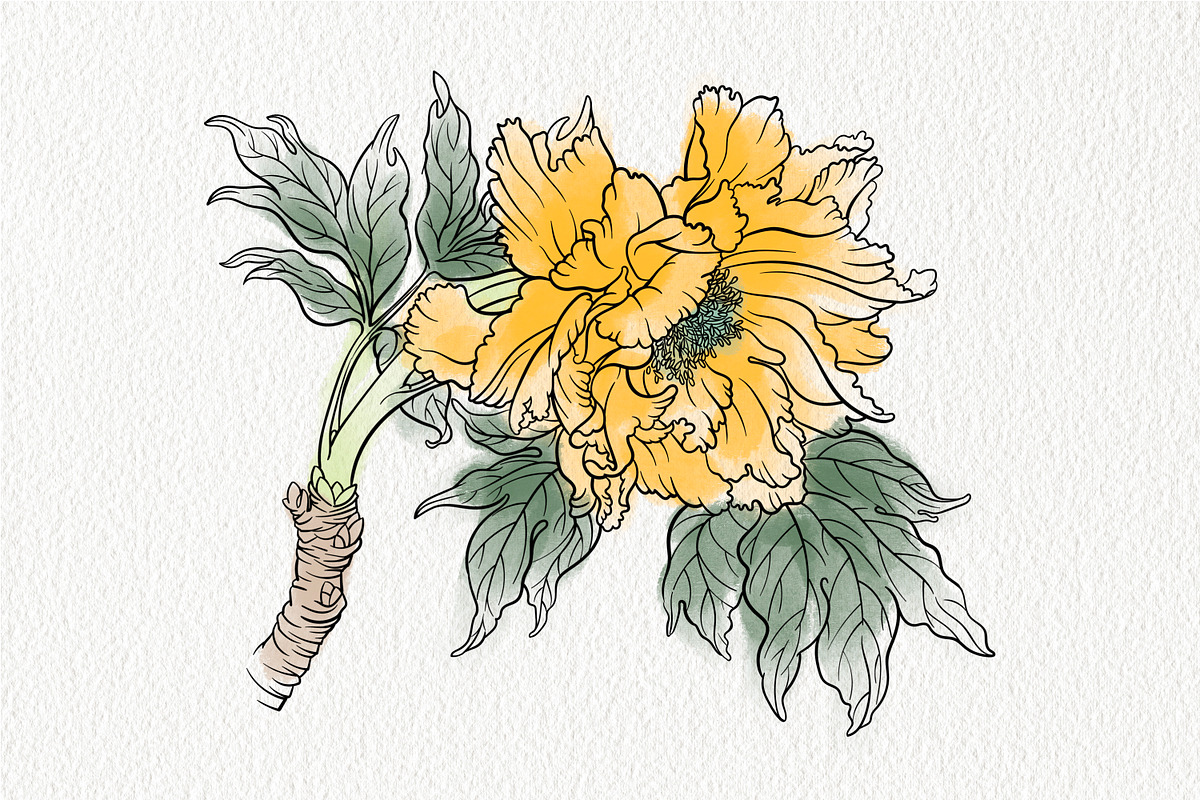 Stamp brushes for Procreate peonies, a Brush Add-On by ViktoriArt (Photo 5 of 7)