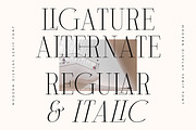 Milegance Modern Display Serif, a Serif Font by Letterena Studios (Thumbnail 4 of 15)