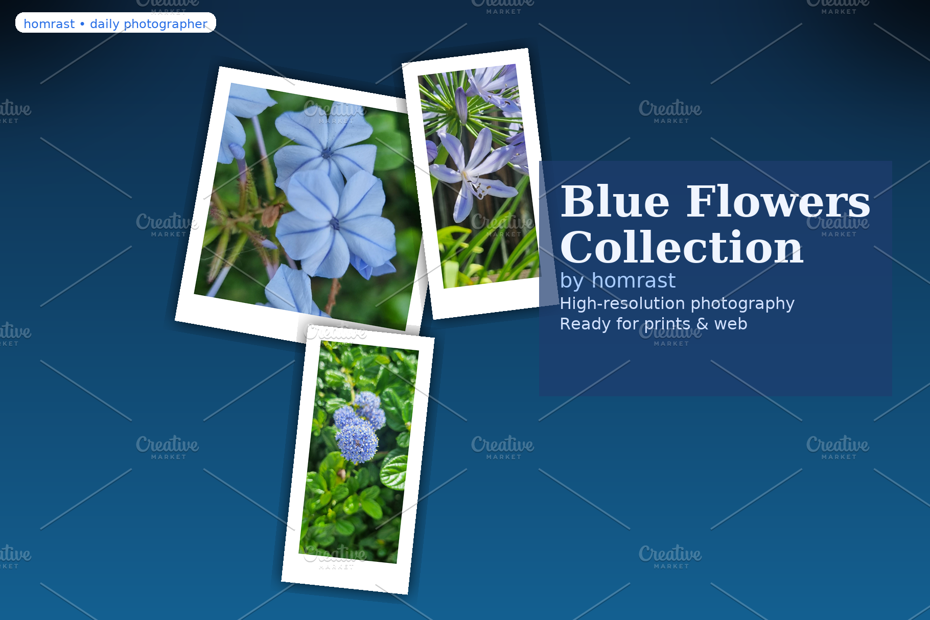 Blue flowers collection by Homrast, a Photo by Lens of Hom