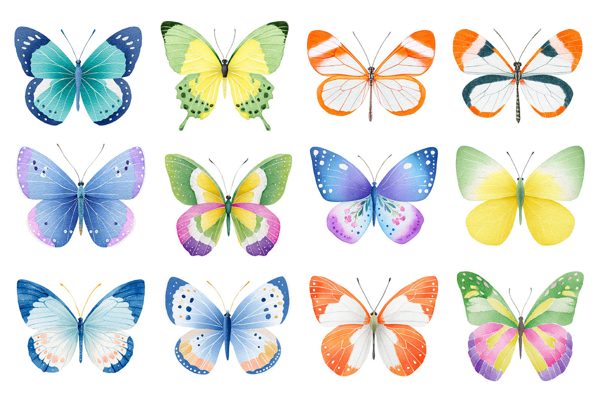 Watercolor Butterfly Clipart Bundle, an Illustration by Dream Creation (Photo 3 of 6)