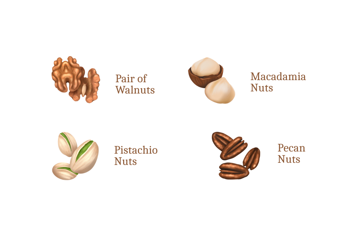 Assorted Nuts, a Food Illustration by Deemak Daksina (Photo 3 of 3)