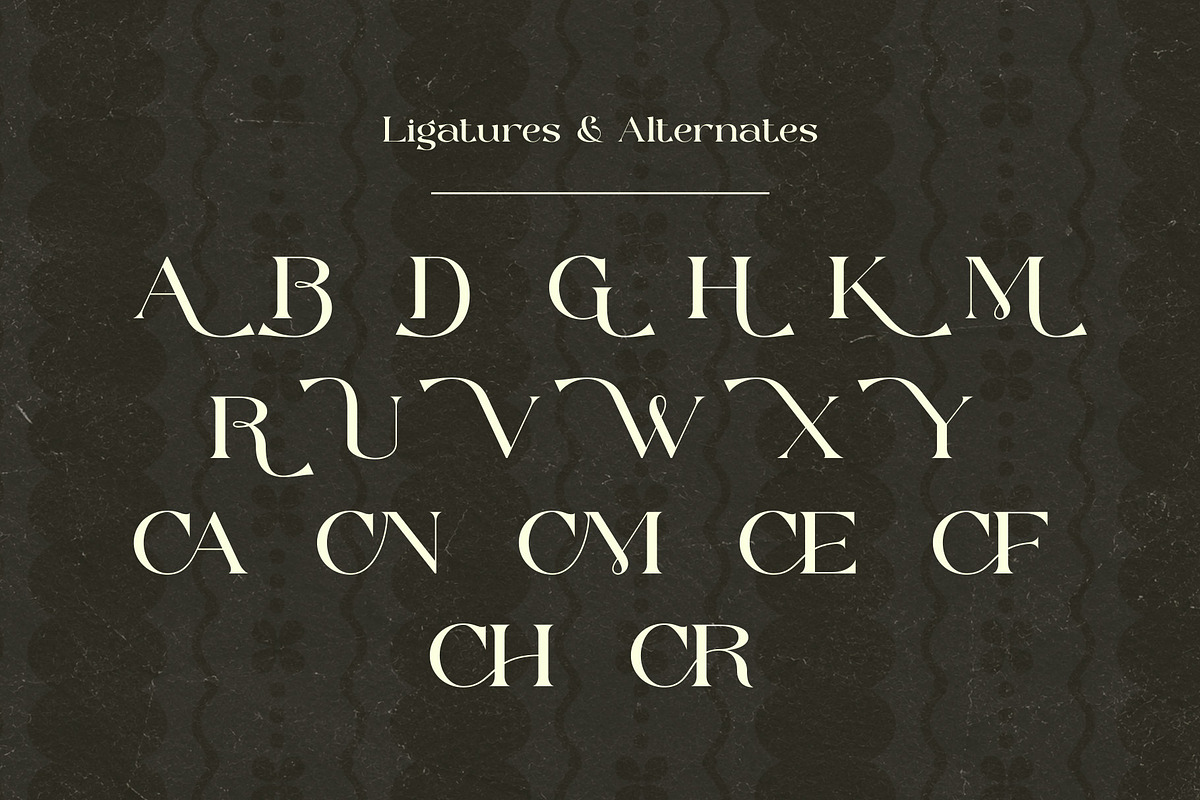 Molky Wolky – Elegant Display Serif, a Serif Font by Muflieart (Photo 12 of 13)