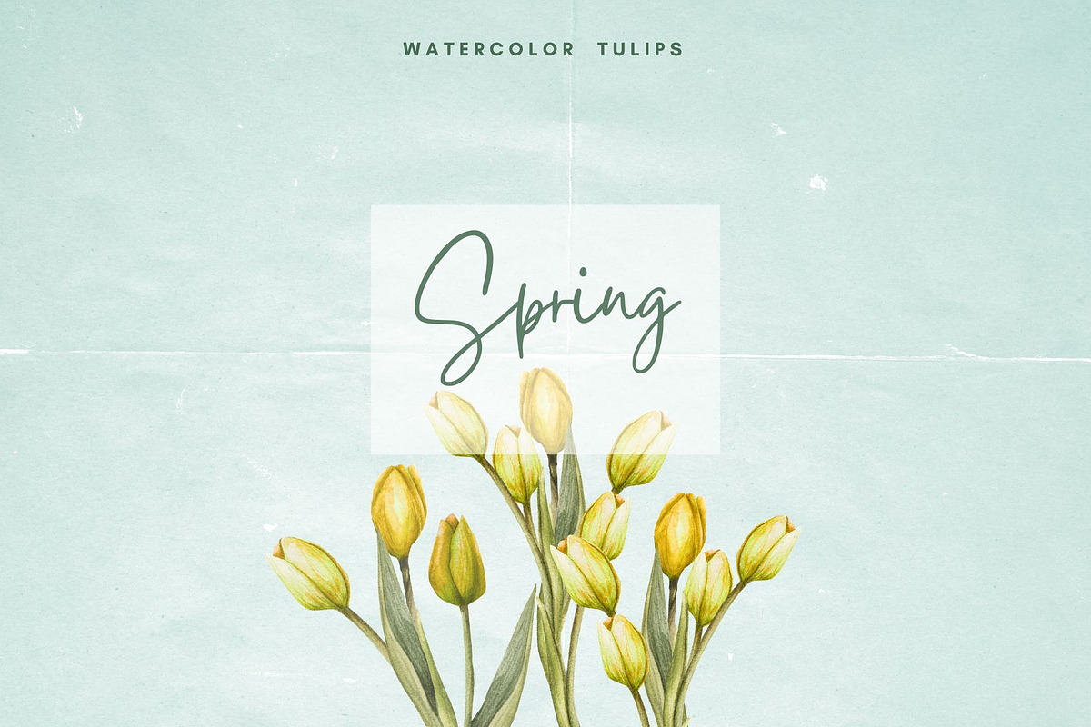 Spring Whispers - Watercolor Tulips, an Object Graphic by NatalieArtsDenysenko (Photo 1 of 7)