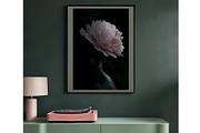 Romantic printable peony wall art, a Nature Photo by Mineden Digital Prints (Thumbnail 4 of 7)