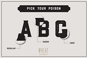 The Whiskey Font Collection, a Font by Hustle Supply Co. (Thumbnail 2 of 6)