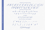 Rallia irma, a Script Font by Integritype Studio (Thumbnail 11 of 15)
