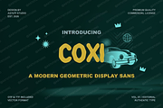 Coxi | A Sophisticated Serif, a Serif Font by Astuti Studio (Thumbnail 3 of 25)