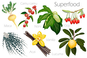 Vector illustration of a super food