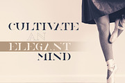 NorthEast - 4 serif fonts, a Serif Font by VP Fonts (Thumbnail 6 of 12)