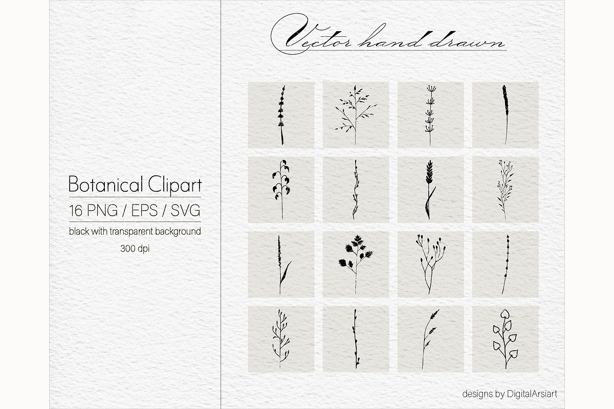 Botanical Clip art Floral vector, an Illustration by DigitalArsiart (Photo 3 of 6)
