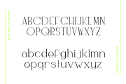 Artemis - An Elegant Serif, a Serif Font by Like Magic Studio (Thumbnail 10 of 11)